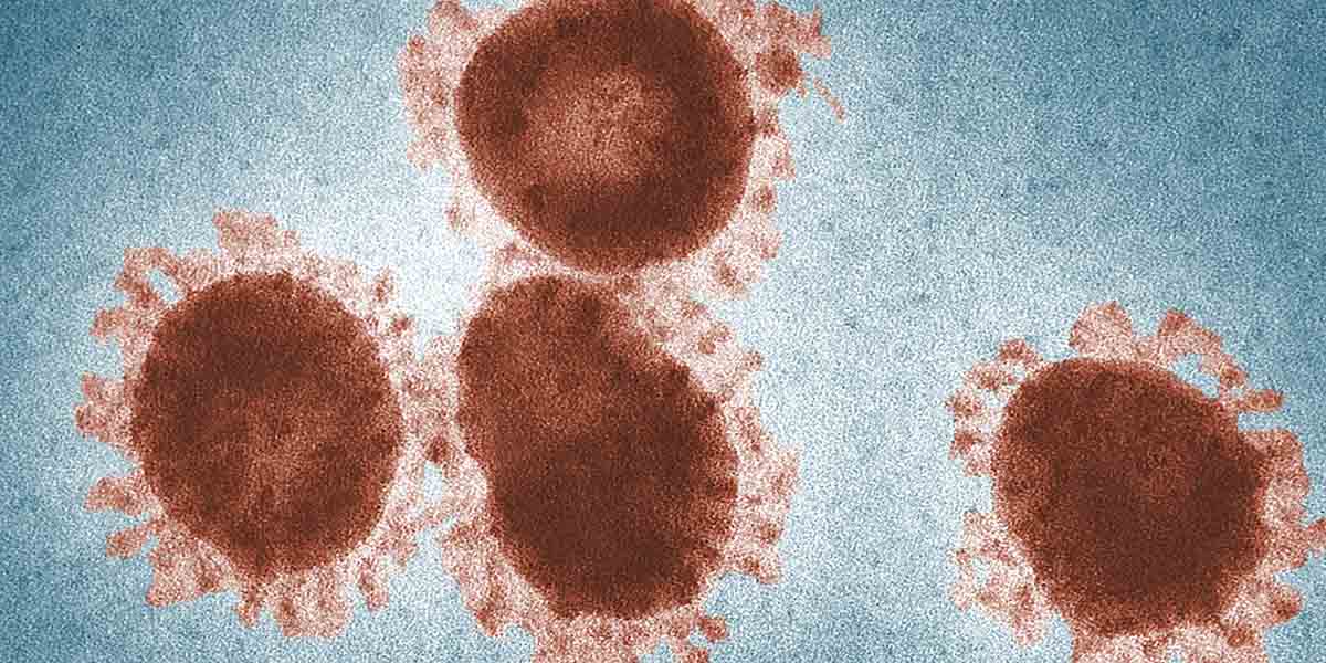 kasus-covid-19-mimika-melonjak-tiga-probable-meninggal-dalam-sepekan
